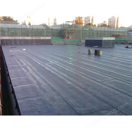河东屋顶防水工程 墙面防水 技术*