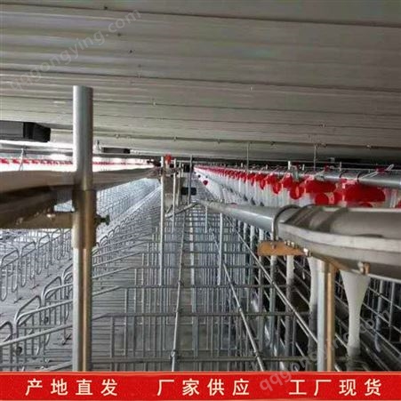 育猪料线 自动化料线 料塔料线长期供应 不锈钢料线