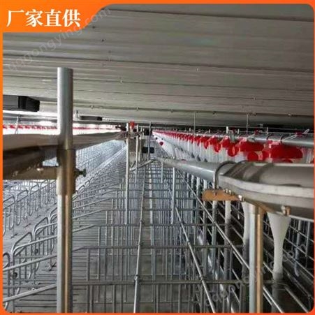 山东供应养殖饲料线 养鸡自动喂料线 自动料线设备