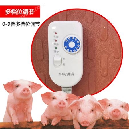 养殖电热板 仔猪电热板 易安装 电热板工程