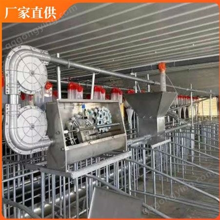 育猪料线 自动化料线 料塔料线长期供应 不锈钢料线
