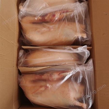 批发 四系鸭 北京烤鸭鸭胚 鸭坯 质量优良