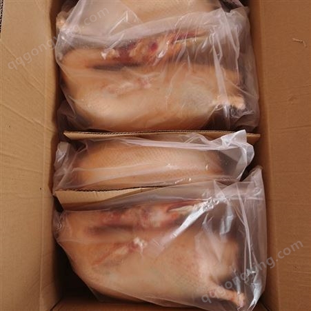按需定制 四系填鸭鸭胚 樱桃谷烤鸭鸭胚 半成品四系鸭坯 贴心售后