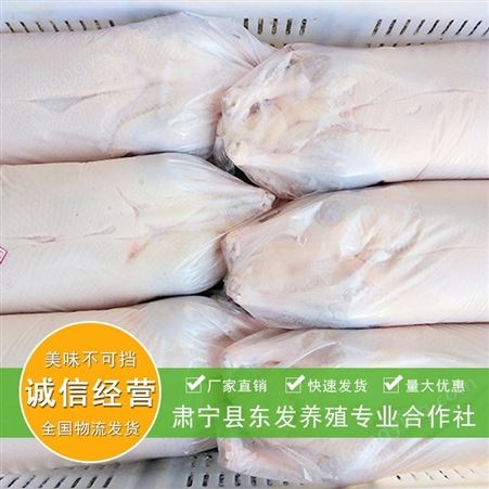 白条鸭 北京烤鸭烤鸭胚 天轳井烧鸭 批发冷冻白条鸭