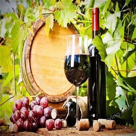 西班牙葡萄酒进口，进口红酒报关流程，葡萄酒进口清关