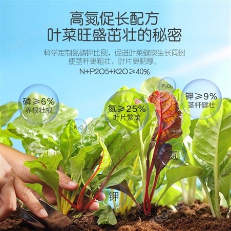 广西 史丹利家庭园艺肥菜园子叶菜型复合肥 适用于菠菜白菜韭菜等植物 大量批发