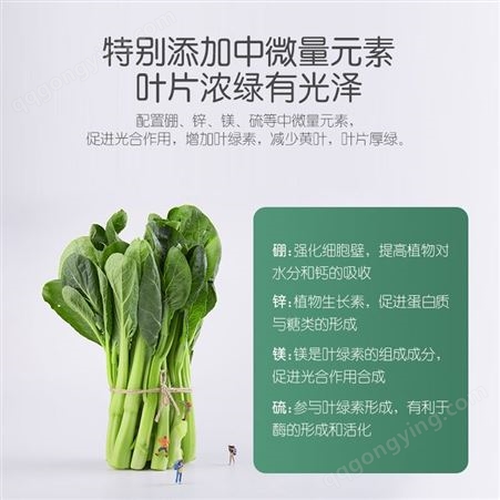 广西 史丹利家庭园艺肥菜园子叶菜型复合肥 适用于菠菜白菜韭菜等植物 大量批发