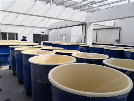 锥桶孵化器 养殖孵化器 水产养殖桶 定制厂家