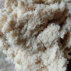 石兴厂家供应造纸用木粉 木塑材料用杨木粉 造香用木粉