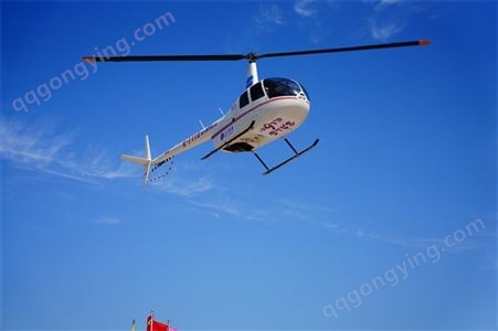 三亚植保直升机租赁价格 直升机看房 诚信经营