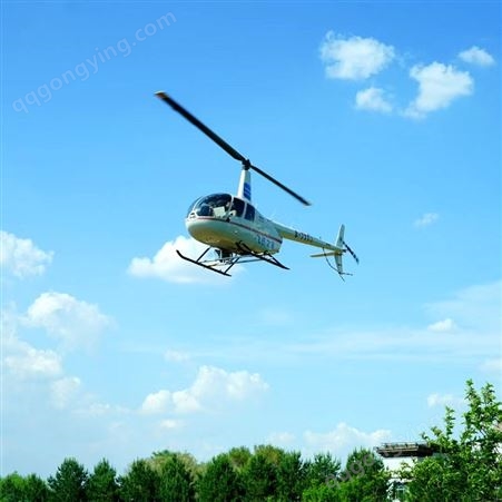 合肥空中直升机销售价格 型号齐全