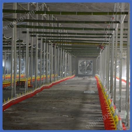 养鸭料线 潍坊养殖设备 操作简单 养殖料线厂商供应
