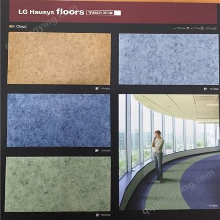 深圳 惠州 东莞 LG特兰迪pvc地板 塑胶地板 地胶 批发施工