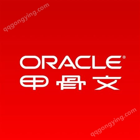 ORACLE数据库甲骨文数据库oracle11G标准版数据库软件