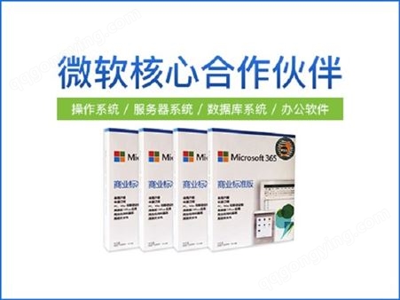 Office 2019 小型企业版中文简体/ 实物盒激活码/微软软件销售