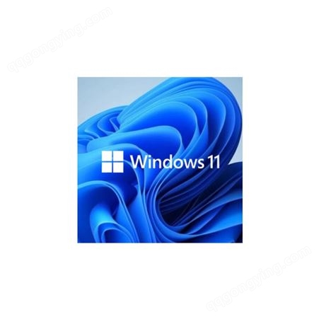 微软Widows11 多语言版 一键智能系统安装 专业