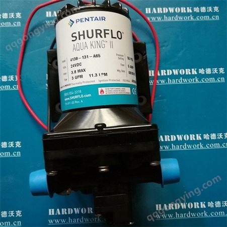 4008-131-A65房车水处理专用SHURFLO水泵