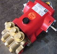 思贝克SPECK 高压泵优势型号NP25/50-150S