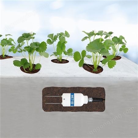 便携式土壤水分测量仪