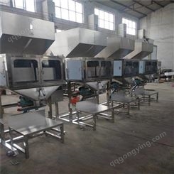 郑州优卓自动化厂家 西瓜子全自动包装机 葵花籽颗粒包装机械设备