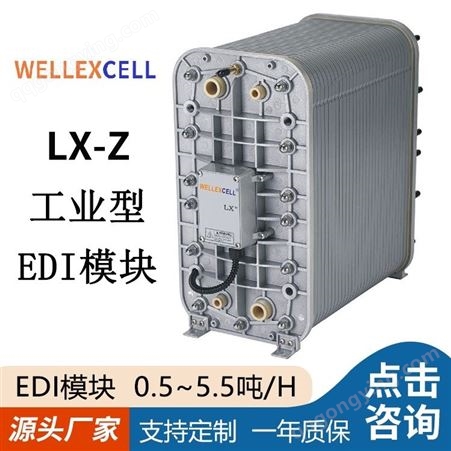美国WELLEXCELL唯赛乐 高纯水EDI模块设备LXM10Z 西门zi CEDI膜块
