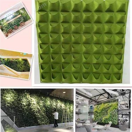 垂直绿化植物墙壁挂立体阳台种菜神器挂墙花盆毛毡墙体种植袋布袋