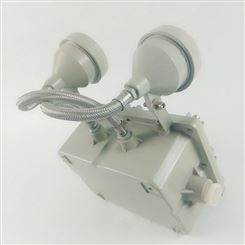 水泵站防爆防腐LED应急照明灯定做BCJ52-2*6W
