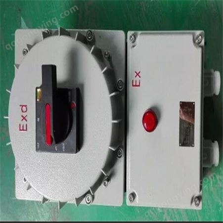 BDZ52-A12D12 48A塑壳微端防爆断路器 分和开关控制箱 控制开关箱