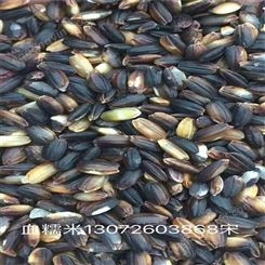 五谷香批发供应厂家 农家自产黑米 八宝粥散装黑米 详情咨询