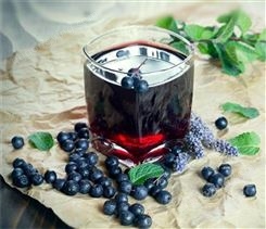 夏日冰镇特色饮品蓝莓汁饮品批发