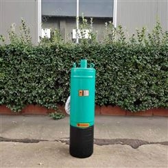WQNY污水潜水电泵 精工品质 源头供货