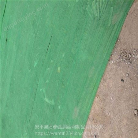 绿色塑料盖土网 保湿防虫网 遮阳网