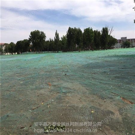 城市建设防尘网 北京工地盖土网 绿化防沙网