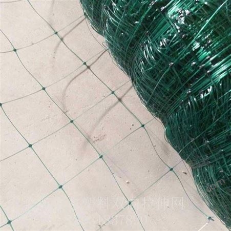 双向拉伸网 塑料网 塑料方格网 环保草毯定型网