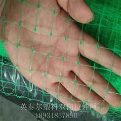 双向拉伸网 塑料网 塑料方格网 环保草毯定型网