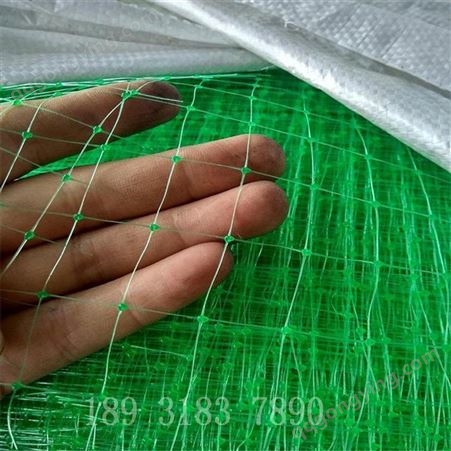英泰尔PP塑料双向拉伸网 BOP双向拉伸网护坡种草 畜牧围栏用塑料网