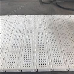 塑料链板生产 塑料网带宽度可定 塑料链板