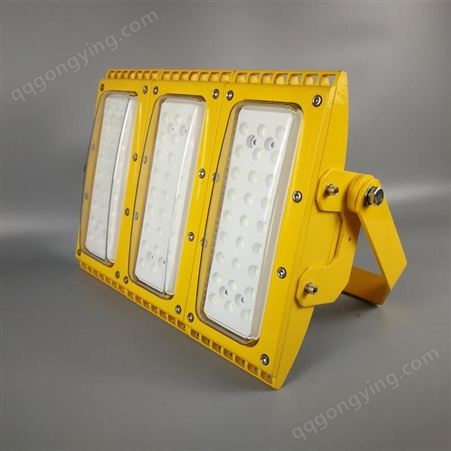 FGA6241_FGA6241莱昂LED免维护节能防水防尘防腐泛光灯