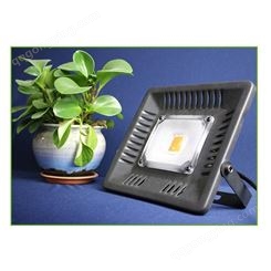 LED植物灯 江苏LED投光灯厂家 50W线性LED补光灯 广告投射泛光灯 防水植物生长灯 北极光能源