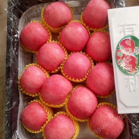 红将军苹果 70-80红富士 室温下即可保存较长时间 昊昌农产品