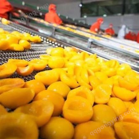 水果黄桃 山东罐头厂家 即食黄桃罐头 巨鑫源