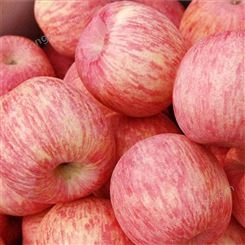 鲜生苹果果蔬购销 今年冷库苹果价格走势分析