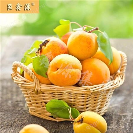 食品认证 水果黄桃罐头厂家 巨鑫源罐头出口内销