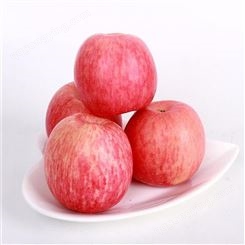 新红星苹果 80#一级红富士 个大型正果型饱满 昊昌农产品