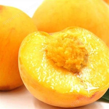 罐头厂家 直供黄桃罐头食品 巨鑫源生产直销 可批发出口
