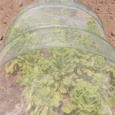 迈希尔防虫网 农用大棚防蚊网 隐形果园防虫 使用寿命长