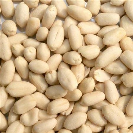 湿花生米碎 粒粒醇香 张老三农副产品 提供优质产品