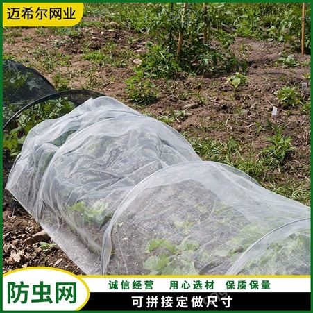 迈希尔防虫网 农用大棚防蚊网 隐形果园防虫 使用寿命长