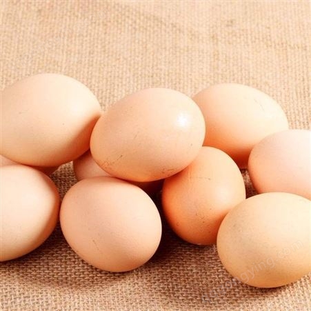 谷物喂养鸡蛋新鲜40枚自家散养鸡蛋正宗新鲜土鸡蛋草鸡蛋笨柴鸡蛋