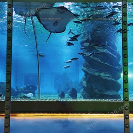 戏浪海洋馆展示展览工程设计 海洋透明隧道设计安装 大型鱼缸定做